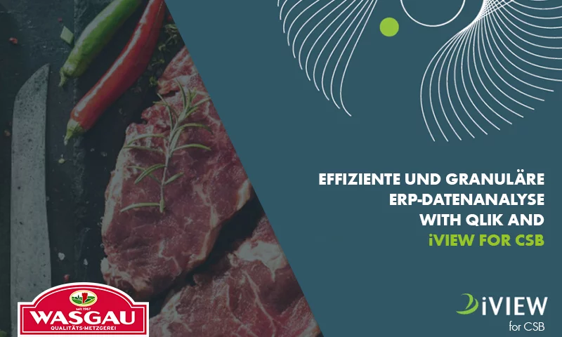 iVIEW for CSB - WASGAU success story