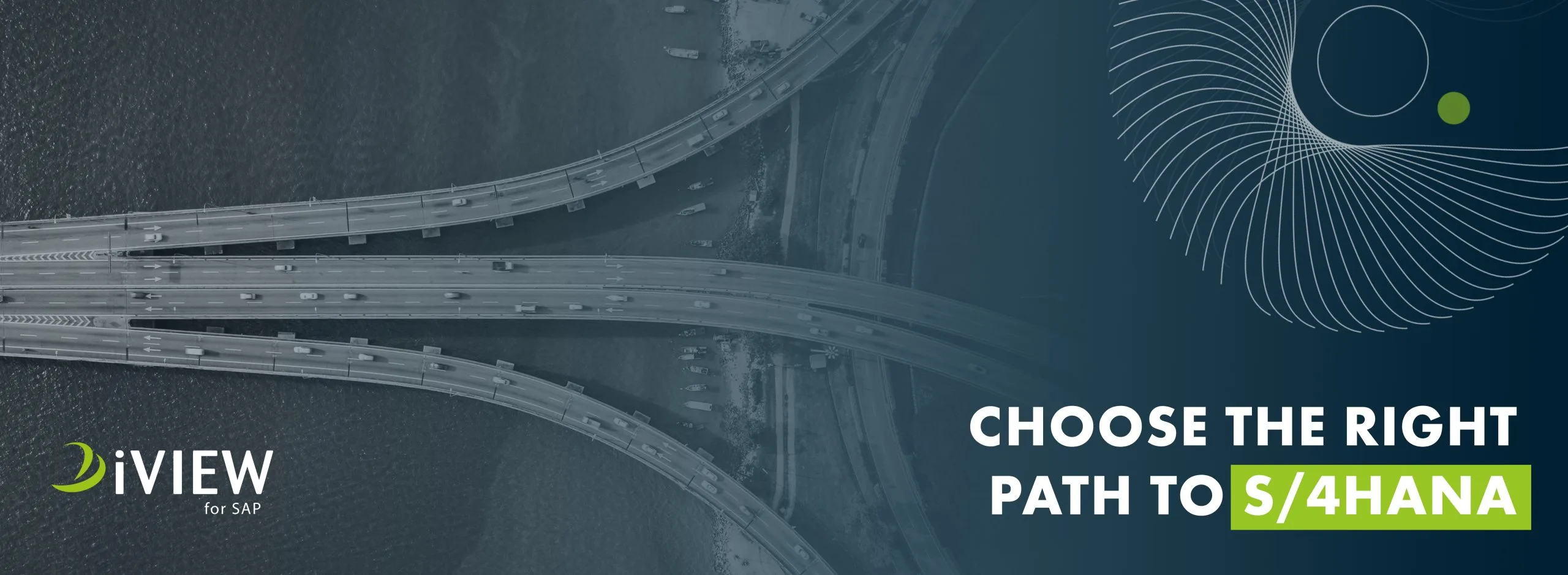 iVIEW for SAP-MIgration S4HANA-webbanner-comparison iVIEW for SAP, Theobald Software, SAP DS