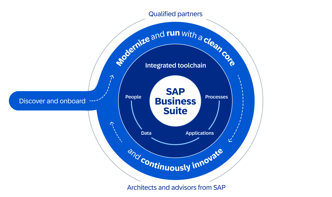 iVIEW for SAP - Rise with SAP